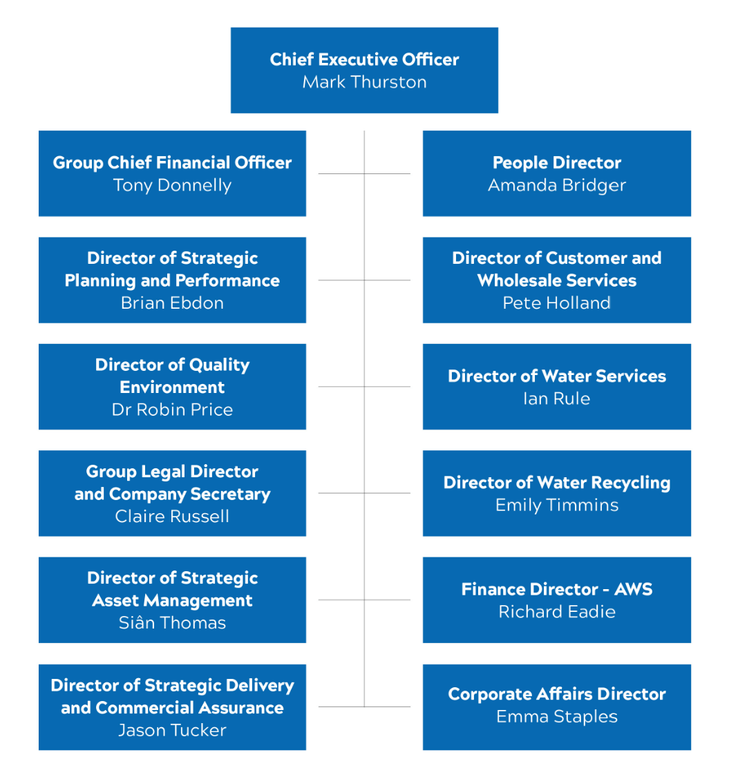 Our board  structure infographic